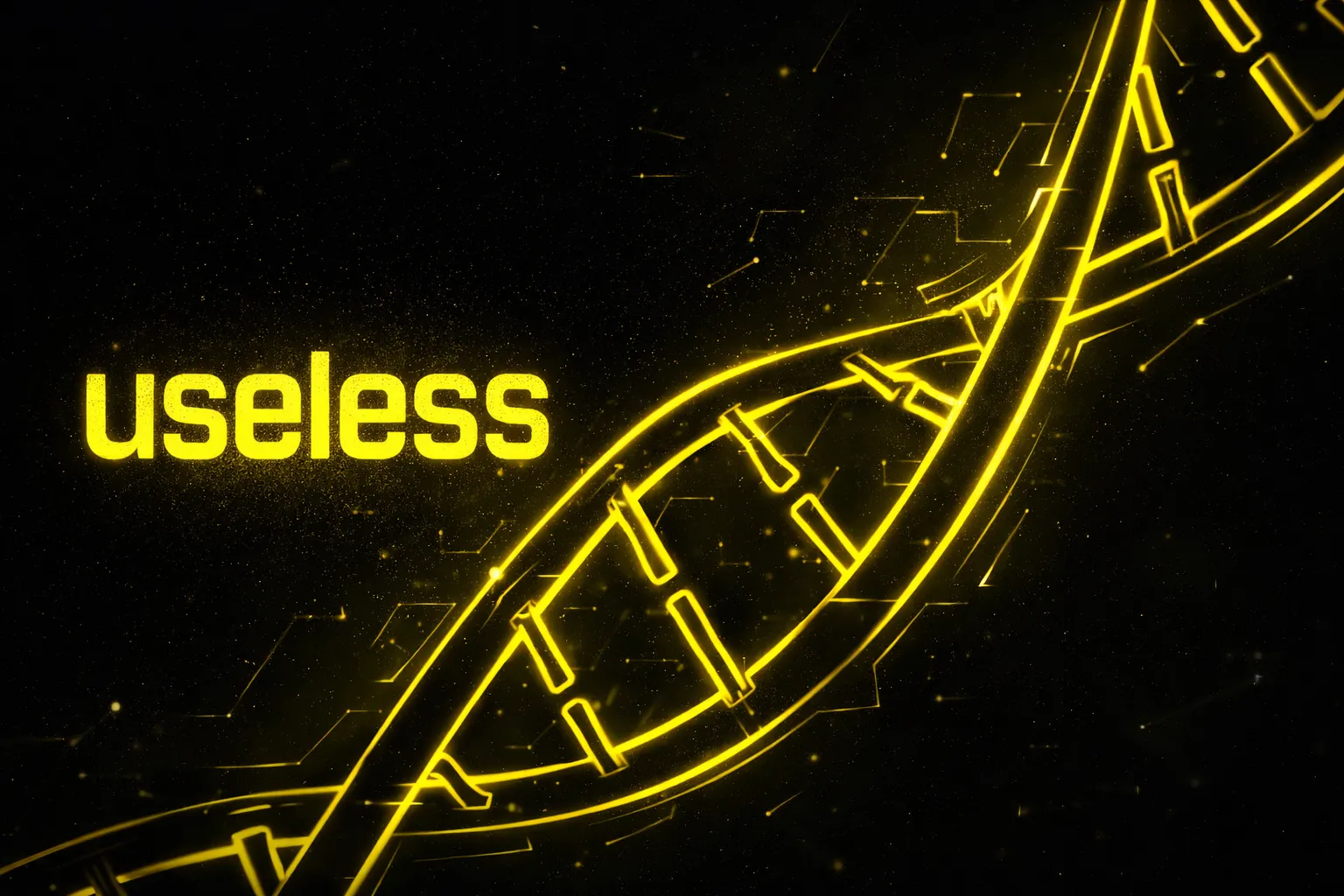 useless-dna