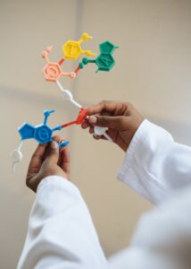 Scientist holding colorful DNA model in genetics laboratory.