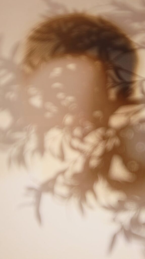 Additional invisibilidade illustration for Military Invisibility: Was Philadelphia Experiment Real?
