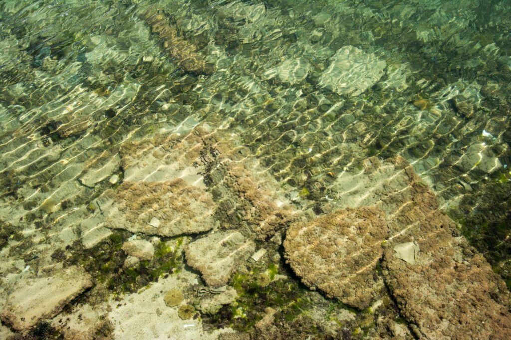Additional arqueologia submersa illustration for Yonaguni Ruins: Underwater Archaeology Enigma
