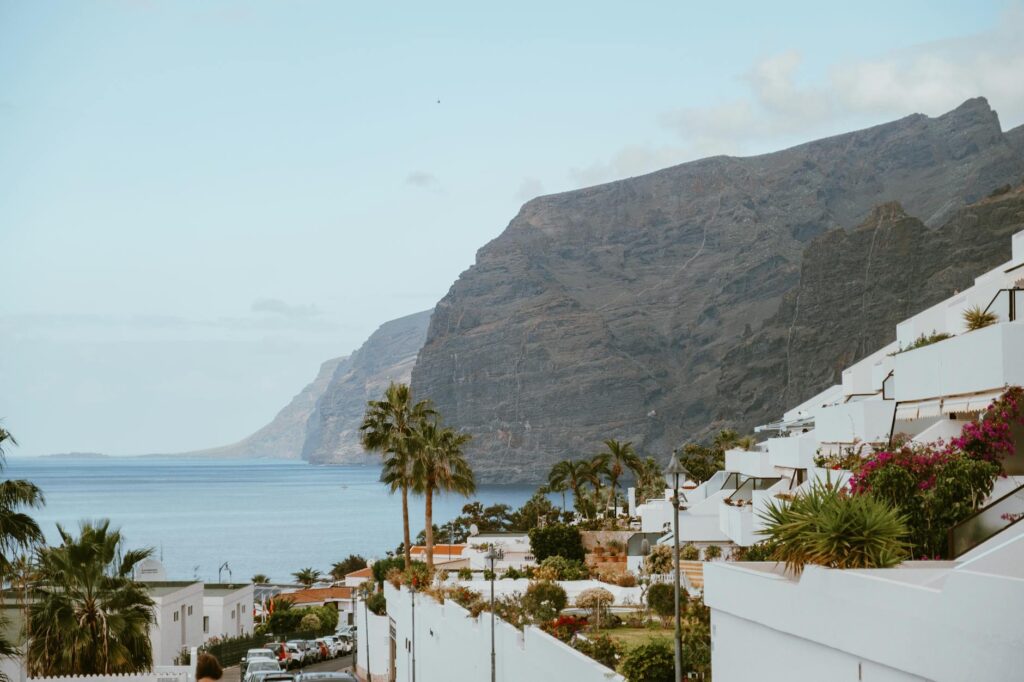 White hillside buildings and palm trees overlooking a mountain-lined sea coast.