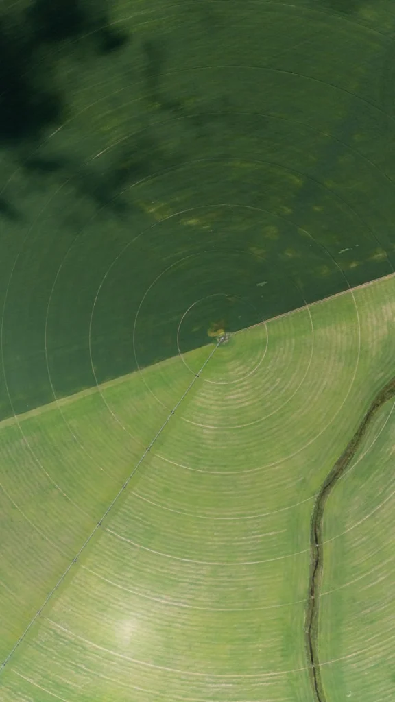 Aerial view of circular irrigation patterns on green farm fields.